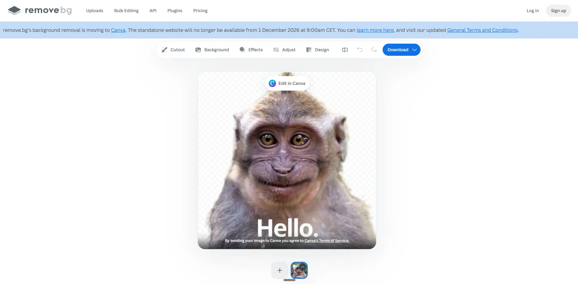 remove.bg result page with the free preview download button and the HD download button that asks for credits